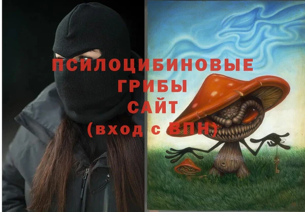 прущий лед Алексин
